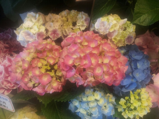20140507_162506.jpg