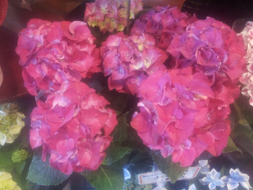 20140507_162515.jpg
