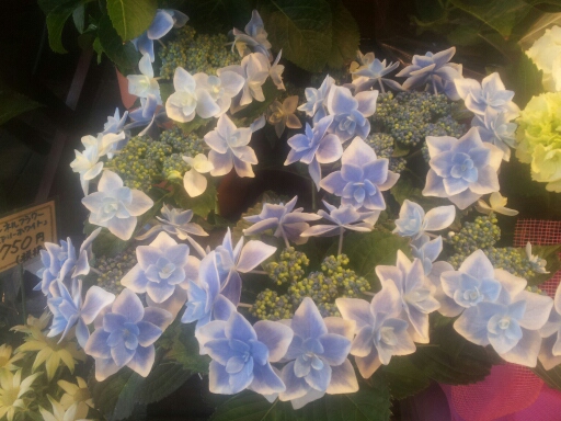 20140507_162536.jpg
