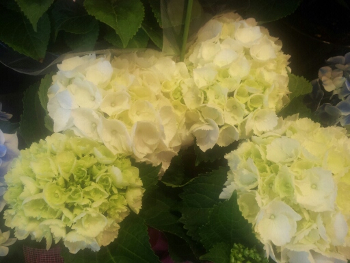 20140507_162549.jpg