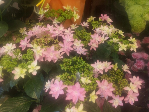 20140507_162729.jpg