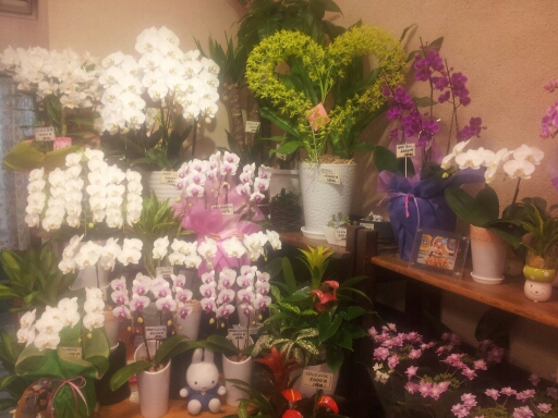 20140507_162835.jpg
