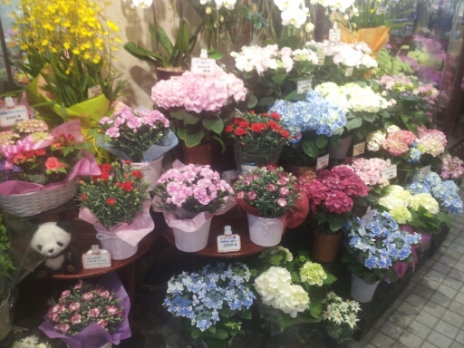20140507_185630.jpg