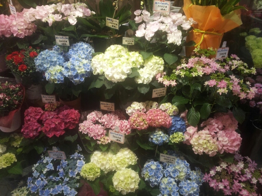 20140507_190047.jpg