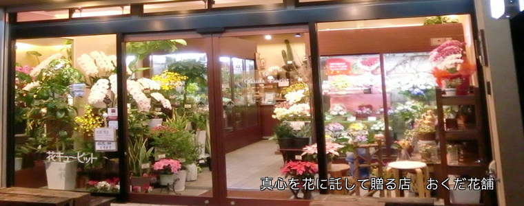 大阪枚方市楠葉の花屋 おくだ花舗 花キューピット加盟店 花束 アレンジ 胡蝶蘭 観葉植物 スタンド花 京都市 八幡市 寝屋川市 交野市 高槻市 京田辺市